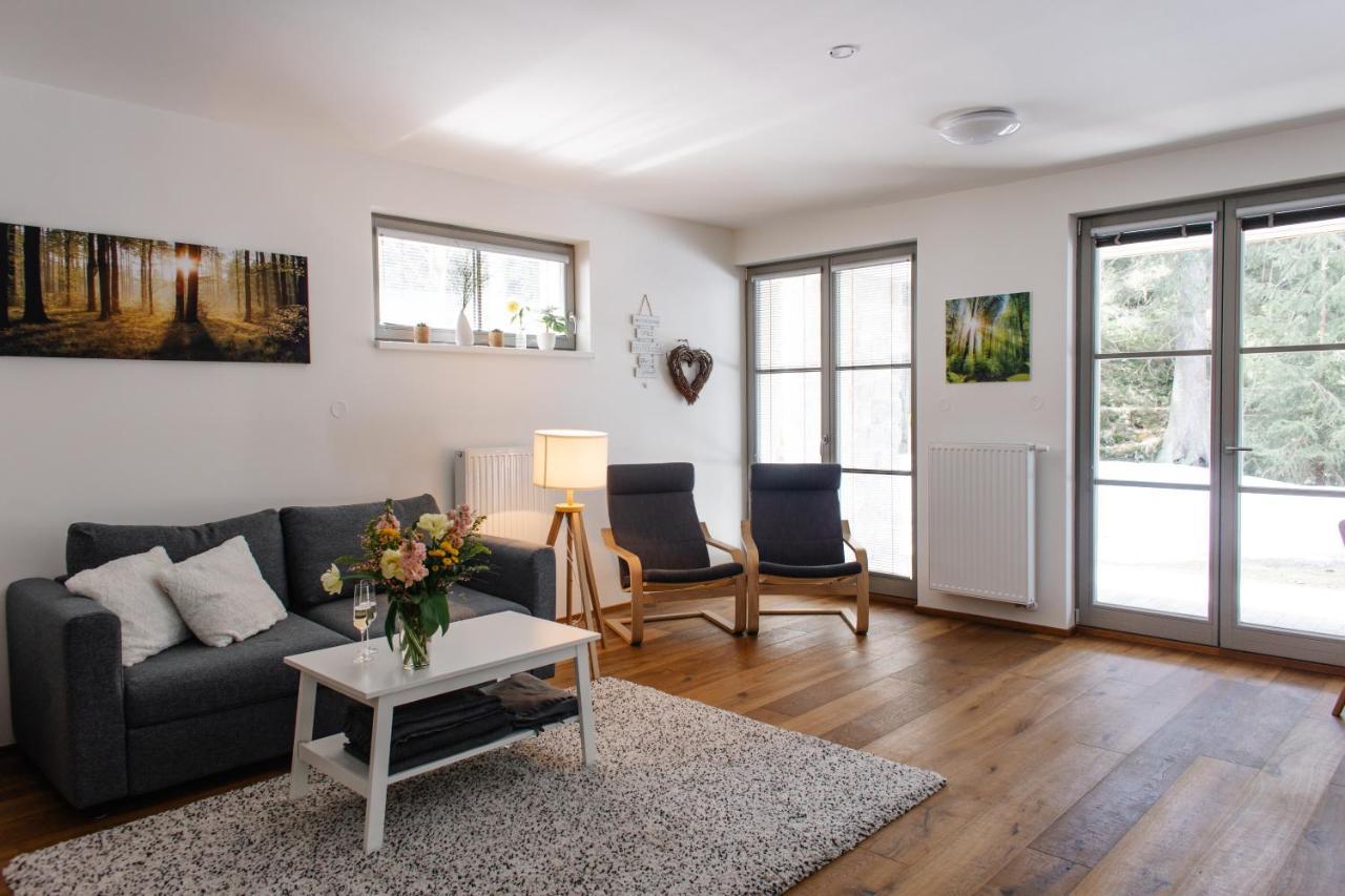 Apartman S Nadhernym Vyhledem V Centru Harrachova Zewnętrze zdjęcie